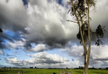 巴西对阵法国，谁才是足球赛场的终极王者？